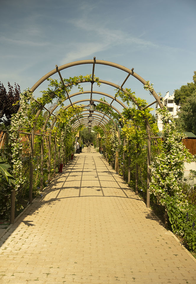 a pavement with some plants of the side and on the top